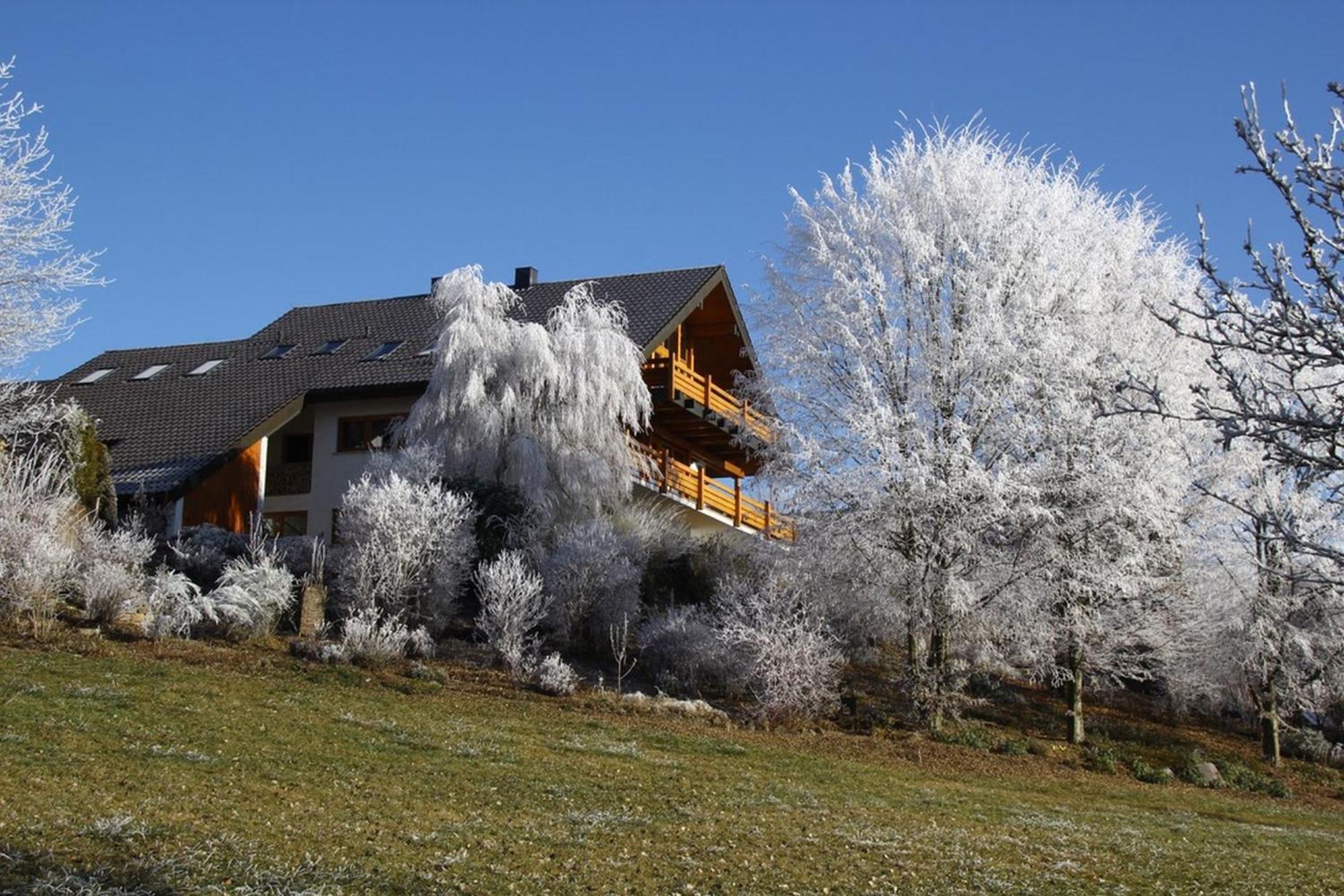 Haus Am See Illmensee Extérieur photo